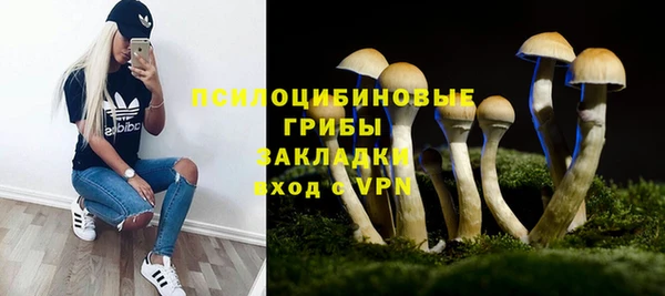 ПСИЛОЦИБИНОВЫЕ ГРИБЫ Липки