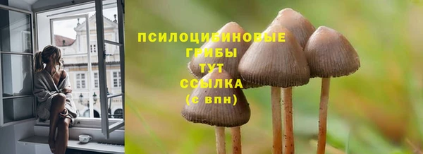 ПСИЛОЦИБИНОВЫЕ ГРИБЫ Липки