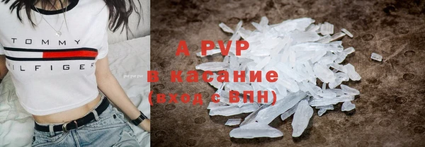 ПСИЛОЦИБИНОВЫЕ ГРИБЫ Липки