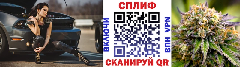 Каннабис SATIVA & INDICA закладка Шимановск